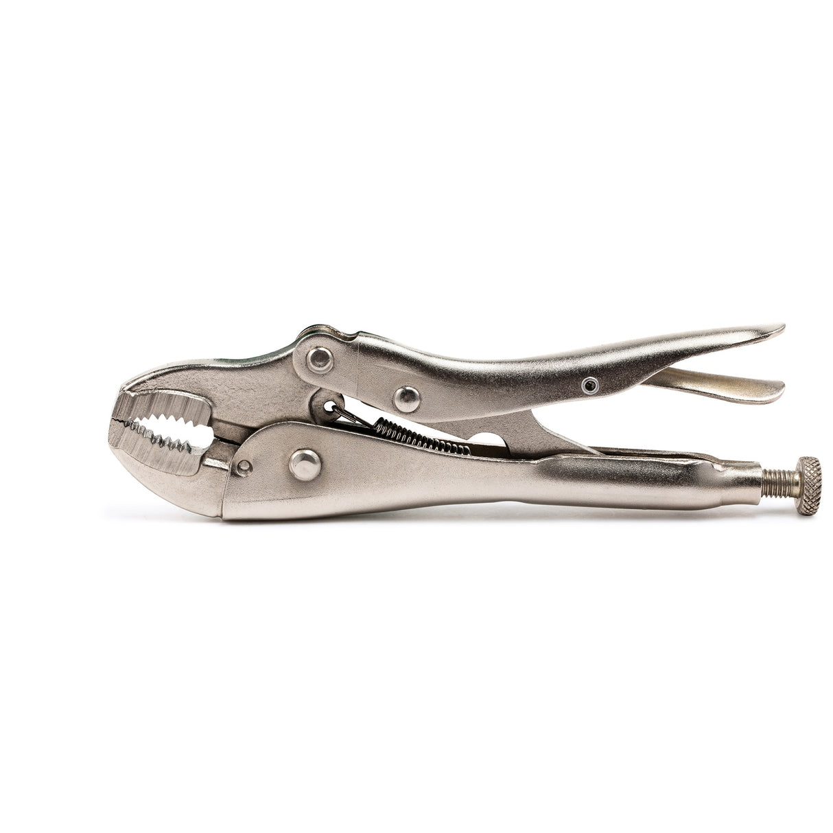 Caimán Boca Curva Sata