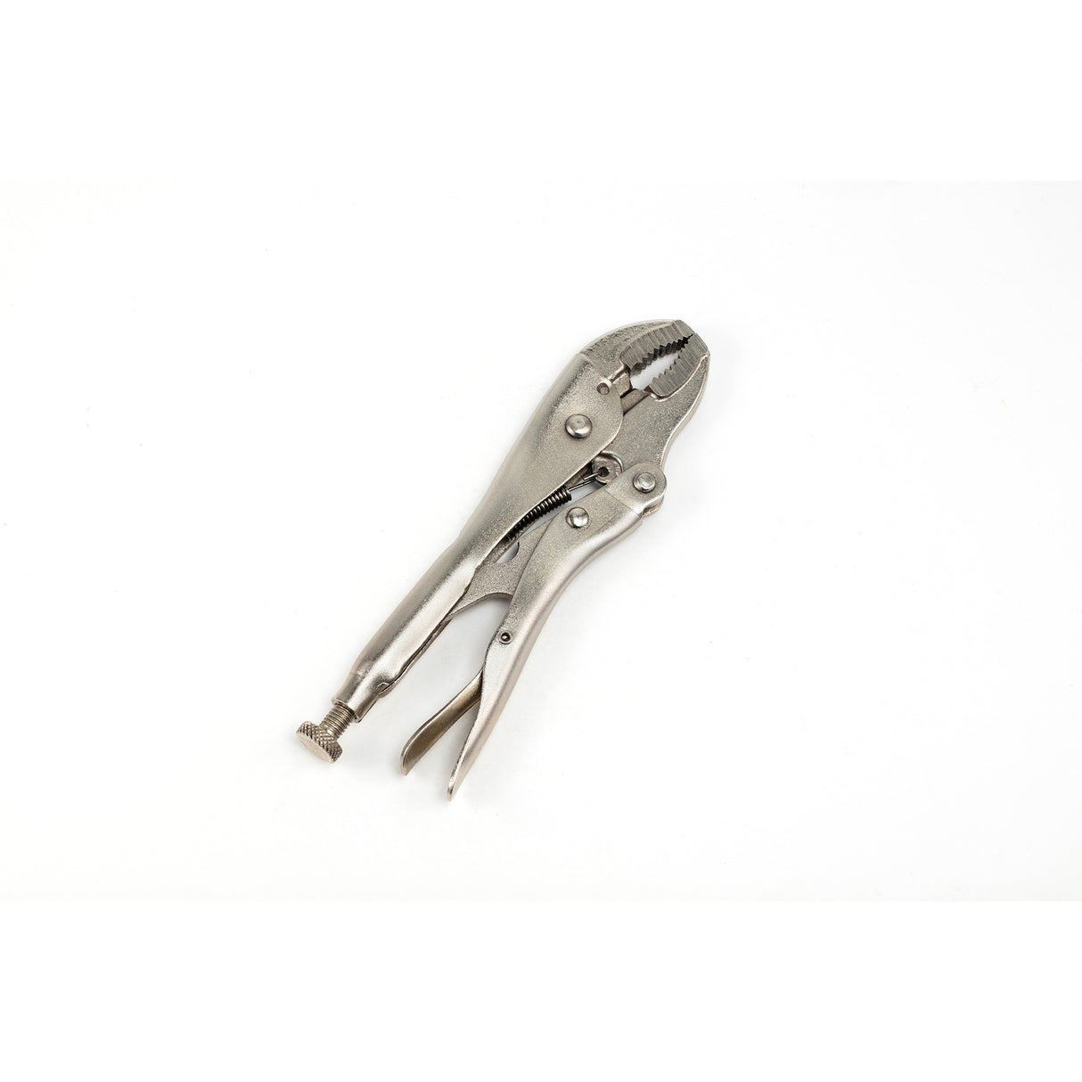 Caimán Boca Curva Sata