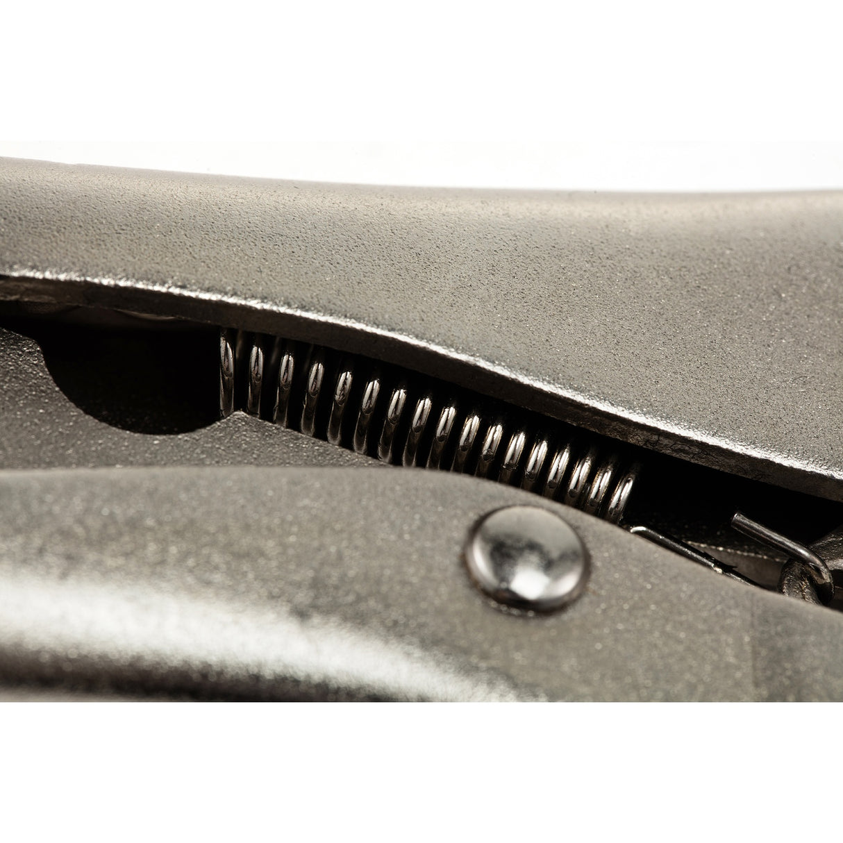 Caimán Boca Curva Sata