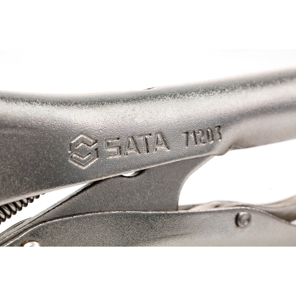 Caimán Boca Recta Sata