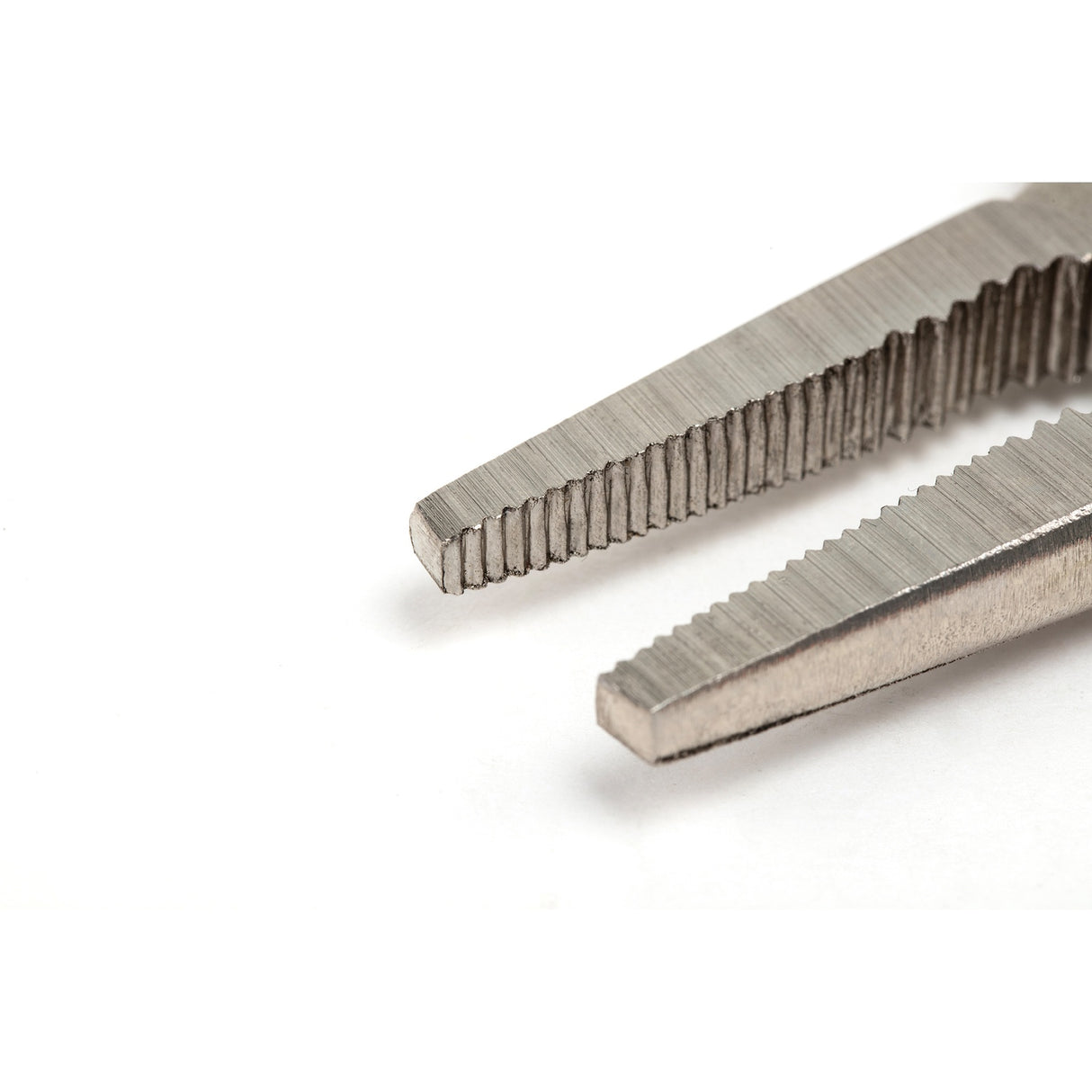 Caimán Boca Punta Larga Sata