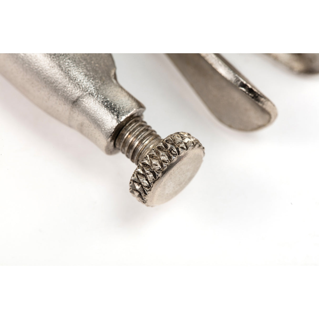 Caimán Boca Punta Larga Sata