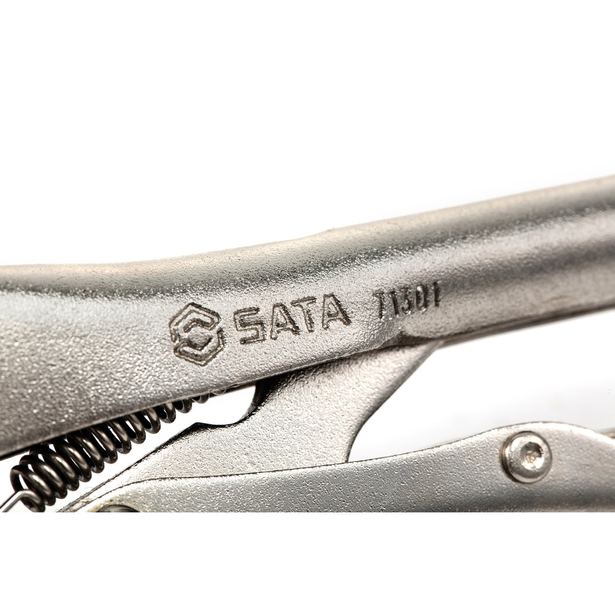 Caimán Boca Punta Larga Sata