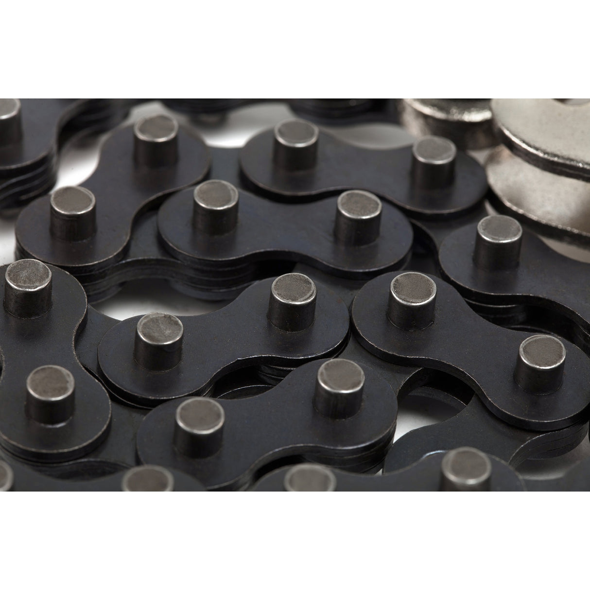 Caimán De Presión Con Cadena Sata