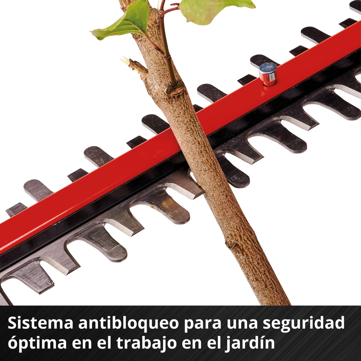 Cortasetos Inalámbrico 18V 500 mm GP-CH 18/50 Solo Einhell - detalle 6