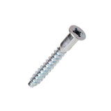 Tornillo Soberbio Cabeza Phillips Zincado SafeMax