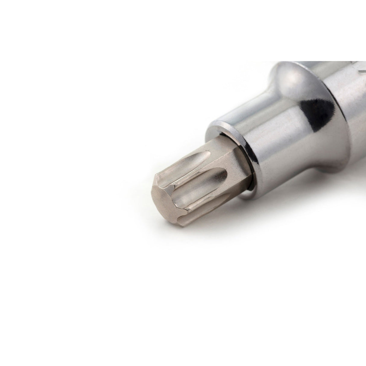 Dado Punta Torx Sata