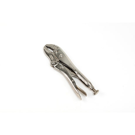 Caimán Boca Curva Sata