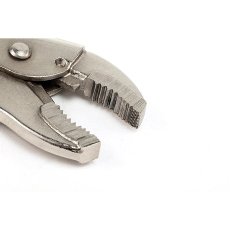 Caimán Boca Curva Sata