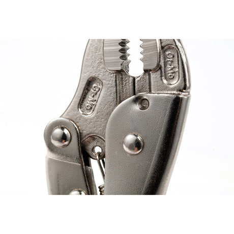 Caimán Boca Curva Sata