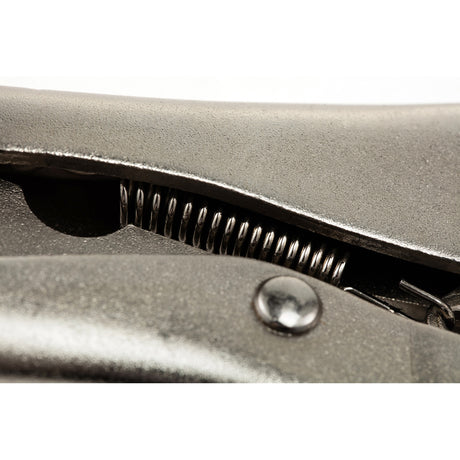 Caimán Boca Curva Sata