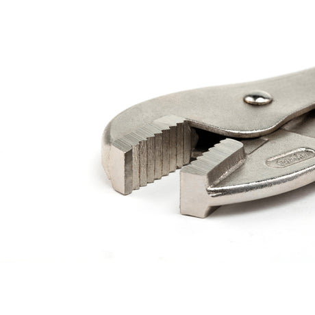 Caimán Boca Recta Sata