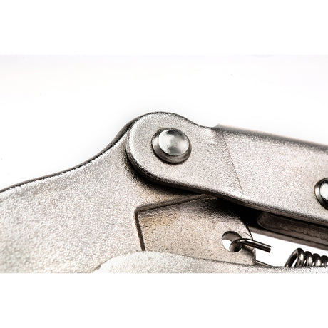 Caimán Boca Recta Sata