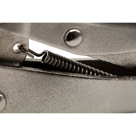 Caimán Boca Recta Sata