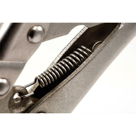 Caimán Boca Punta Larga Sata