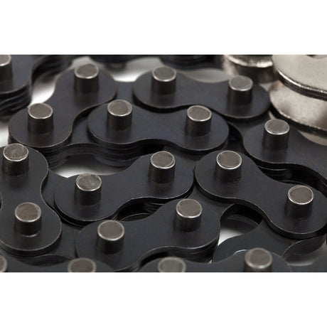 Caimán De Presión Con Cadena Sata